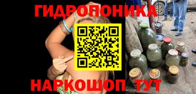 индика Ликино-Дулёво