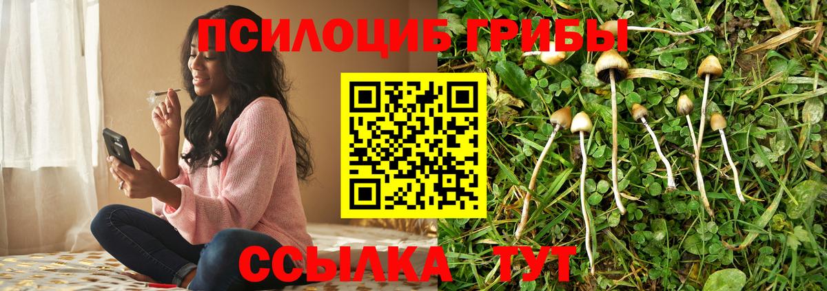 Псилоцибиновые грибы Cubensis  где продают   Зеленокумск  Вход с VPN 