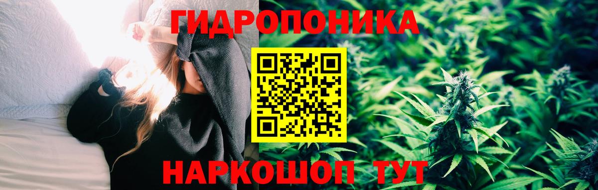 Бошки Шишки MAZAR Зеленокумск